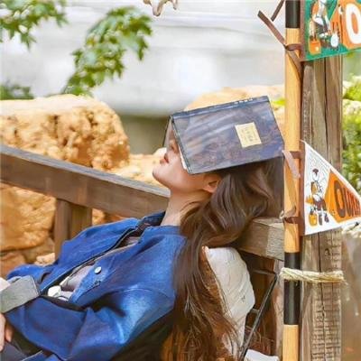 屋顶恋歌
